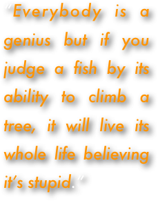 “Everybody is a genius but if you judge a fish by its ability to climb a tree, it will live its whole life believing it’s stupid.”